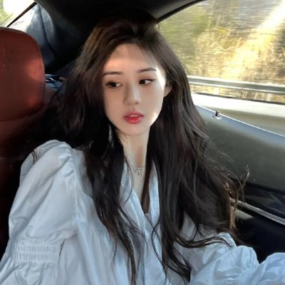 挎斗摩托车里的狗